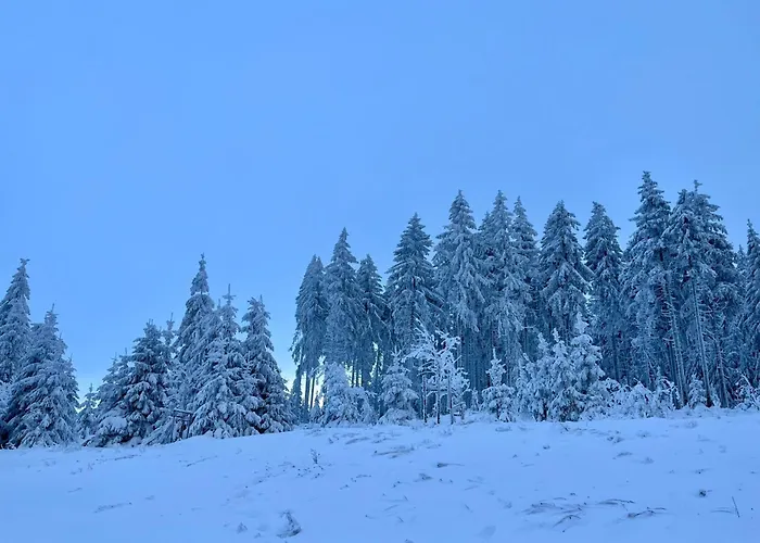 Schneider By Interhome Geschwenda