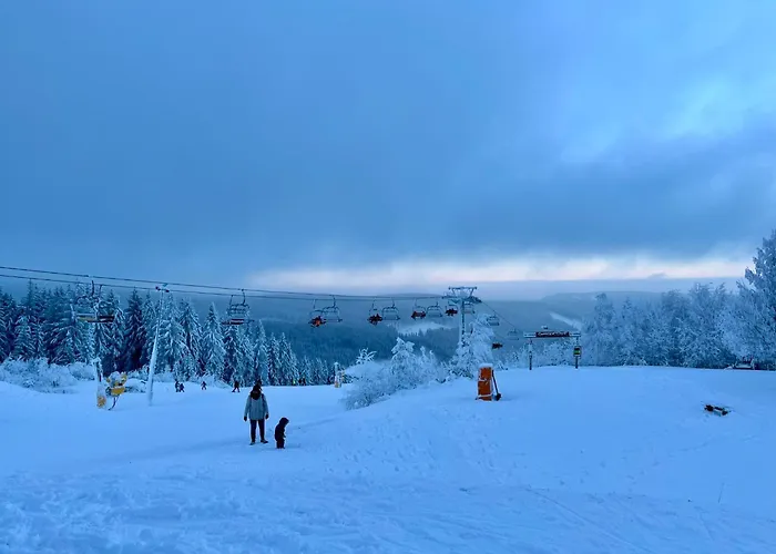 Schneider By Interhome